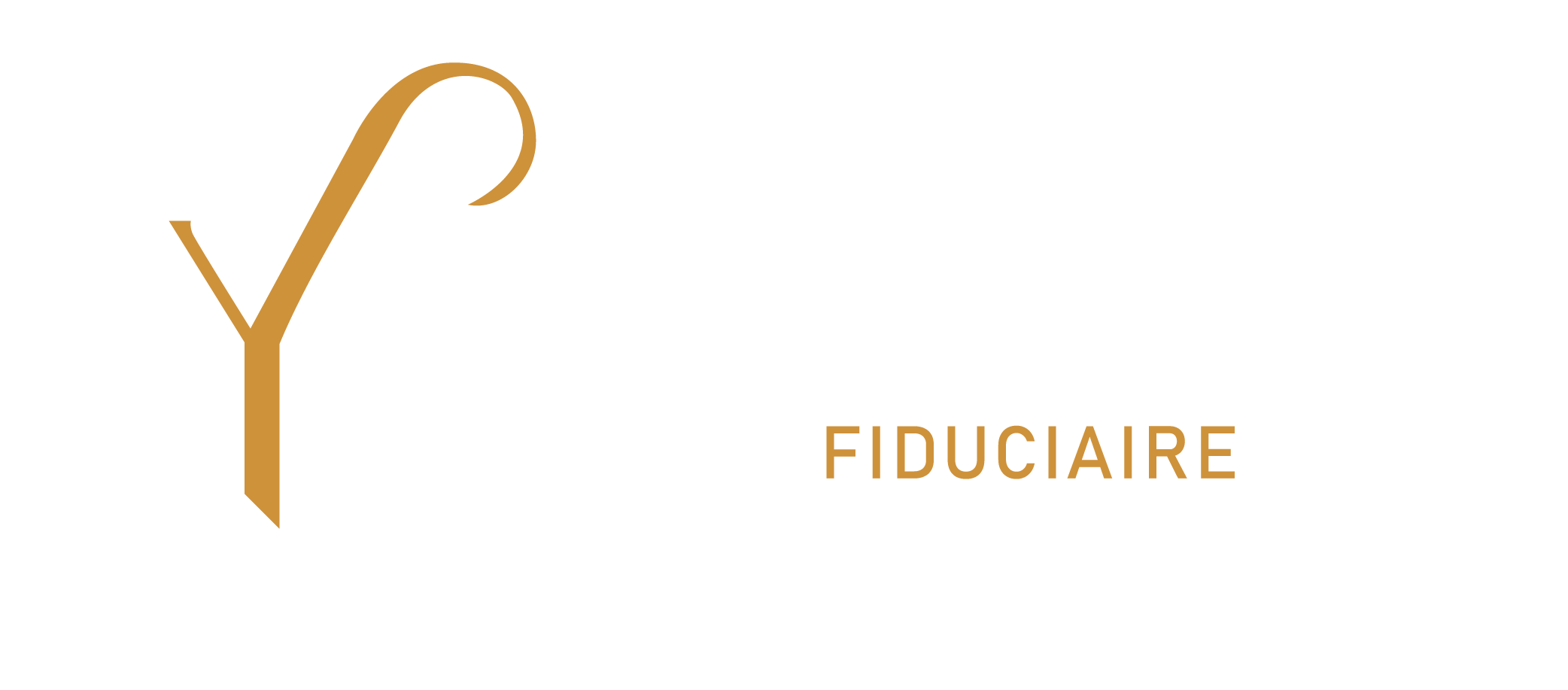 YP Consulting