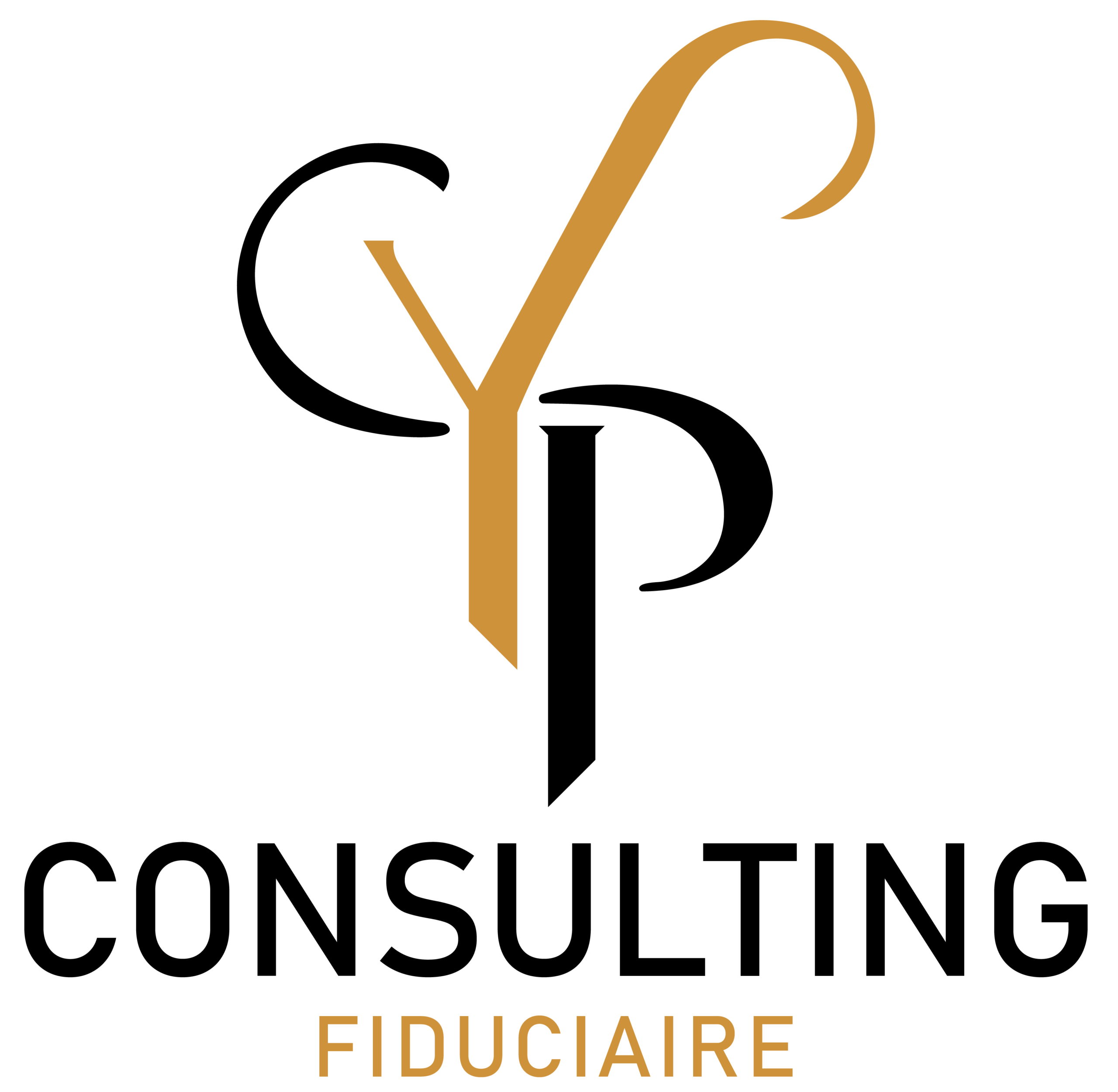 YP CONSULTING FIDUCIAIRE SARL